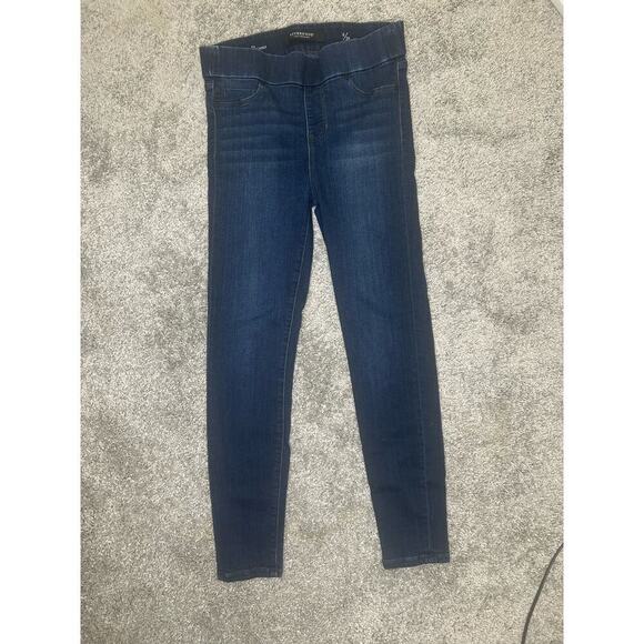 Liverpool Los Angeles Denim - Liverpool Gis Glider Size 6/28 The Ankle Skinny